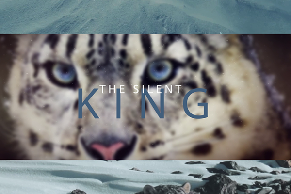 Whispers In The Wind - The Silent King